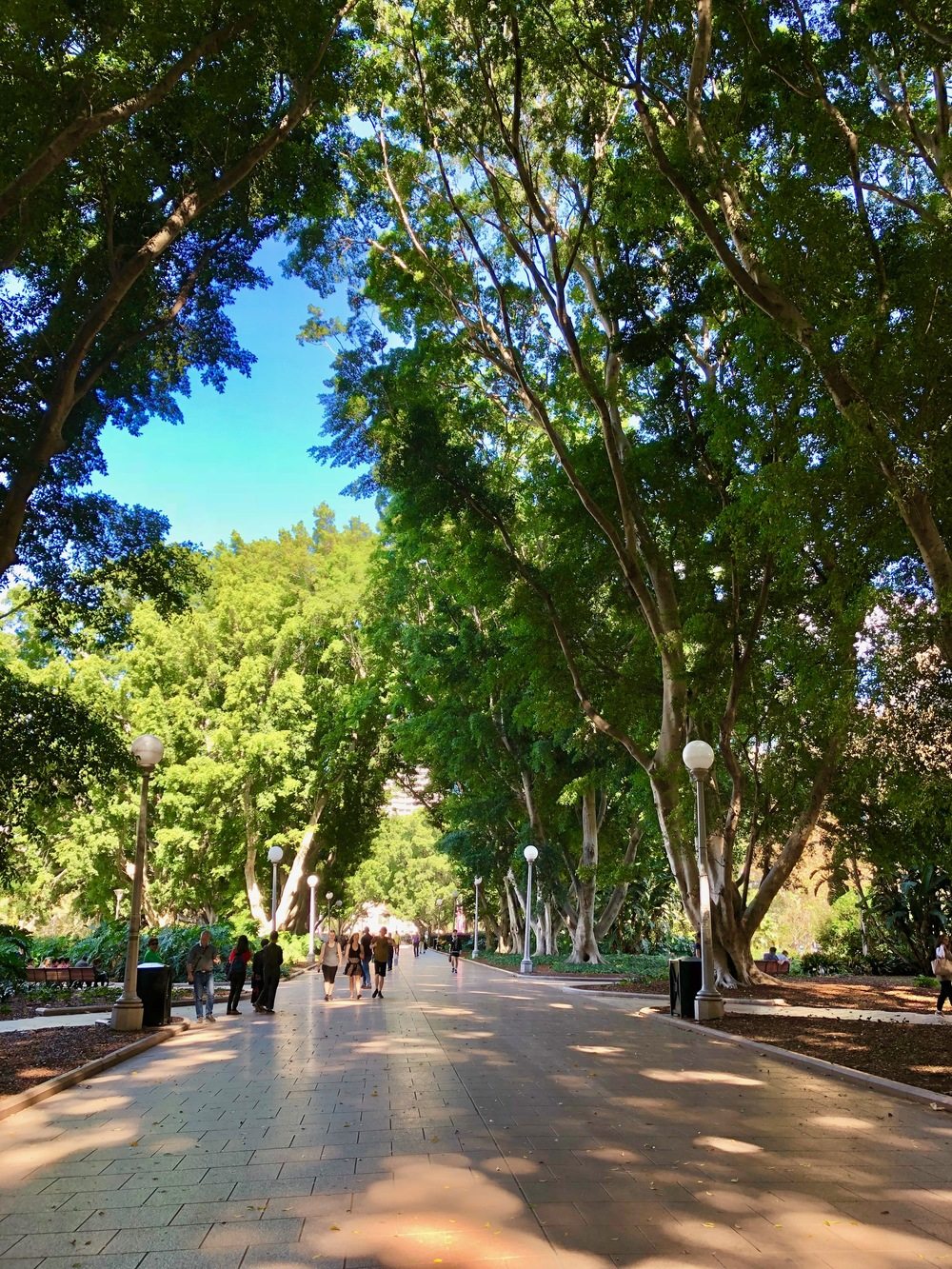Travel photograph from our 18 things to do in sydney australia story